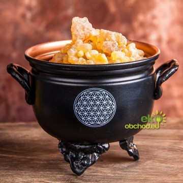 Kadidelnica železný kotlík KVET ŽIVOTA
