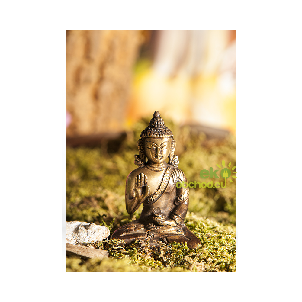 Socha Buddha Spasenie mosadz 8cm 200g