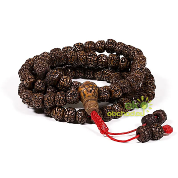 Mala Rudraksha - 108 korálok, leštené