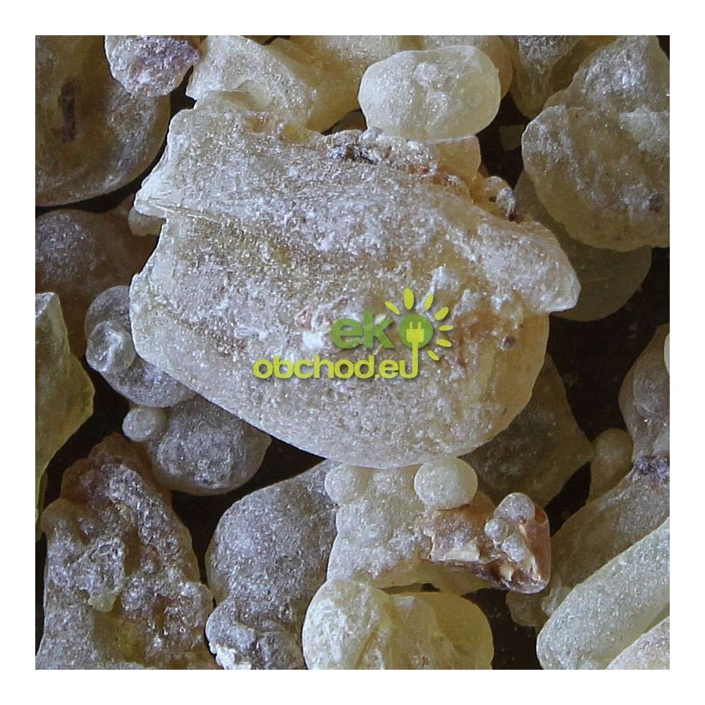 KADIDLO - Omán GOLD