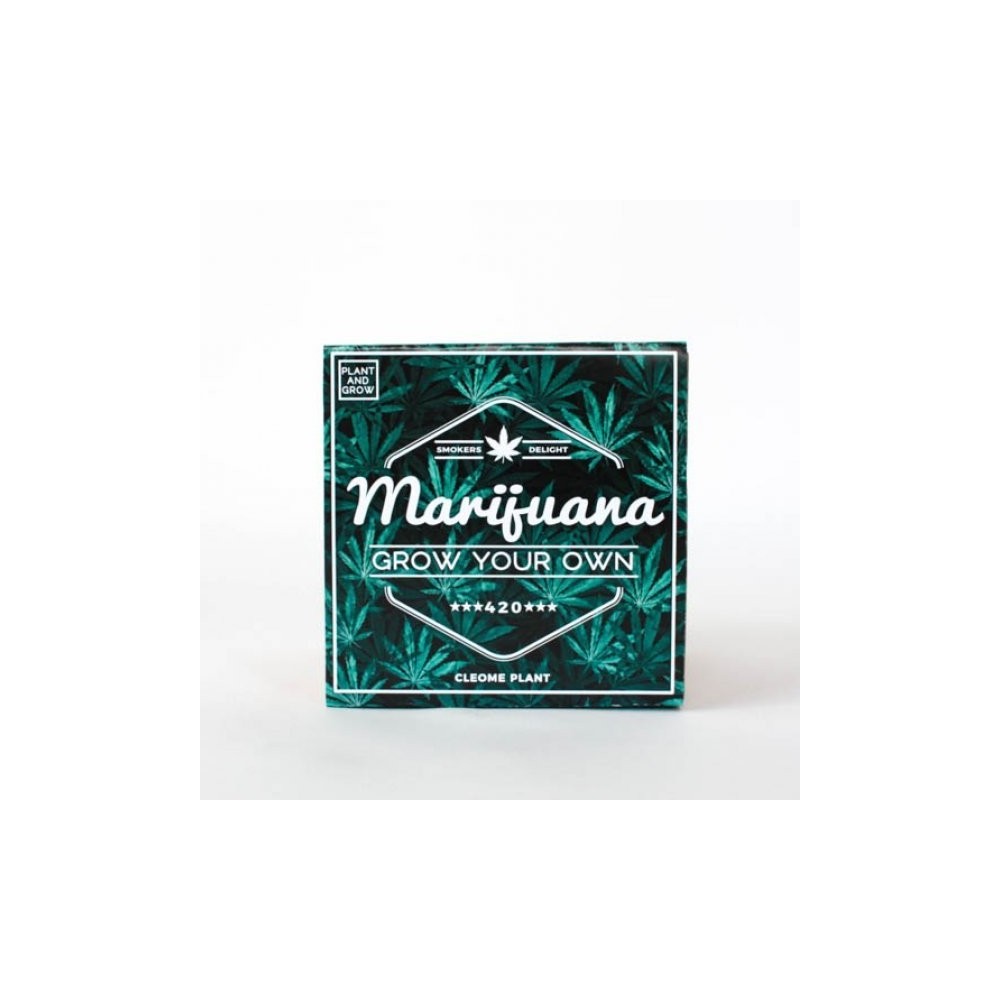 Vypestuj si vlastnú „Marihuanu“