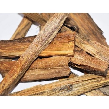 GAHARU BUAYA - krokodílí agarwood