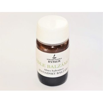 Jedla Balzamová ( Kanadský balzam )