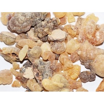 KADIDLO Somálsko, BEYO SUPER WILD grade