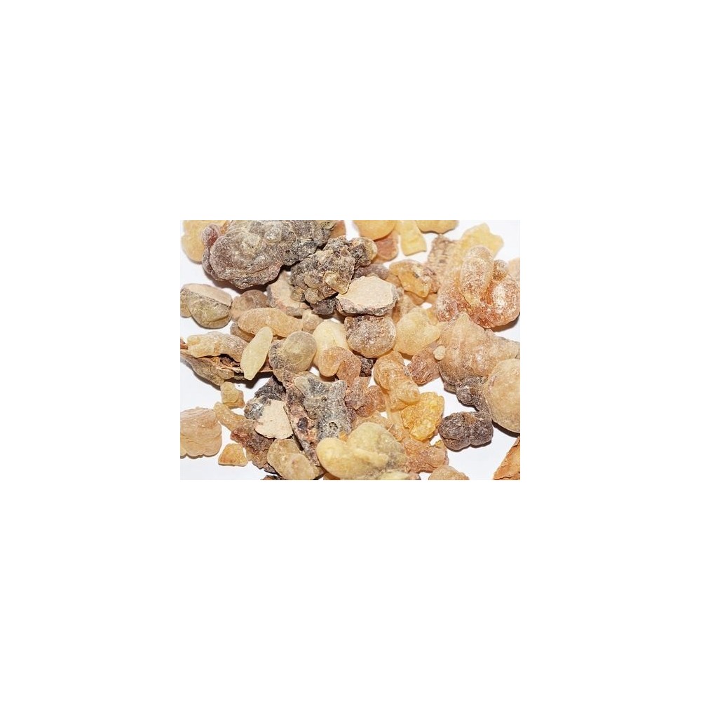 KADIDLO Somálsko, BEYO SUPER WILD grade