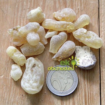 KADIDLO - Omán GOLD