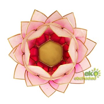 SVIETNIK LOTOSOVÝ KVET z mušle Capiz – svetlo-ružovýveľký