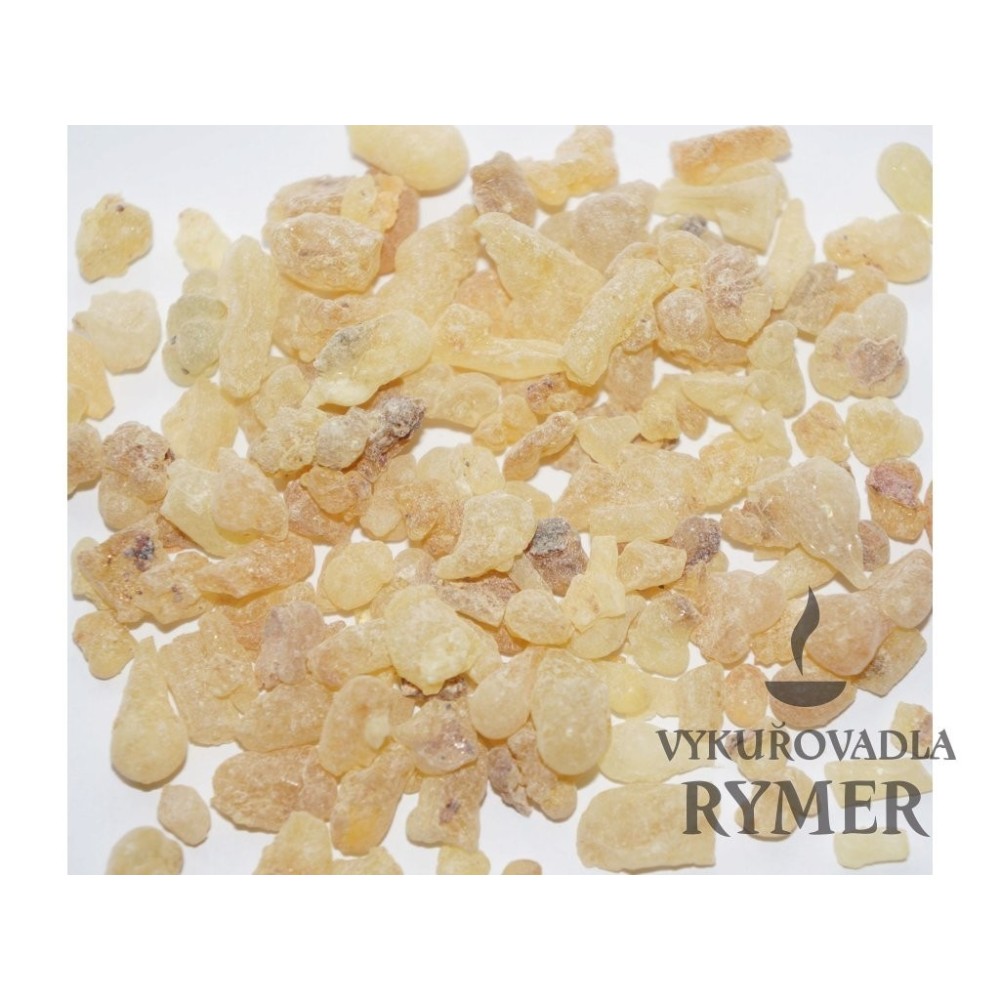 KADIDLO Somálsko BEYO SWEET KENYA grade